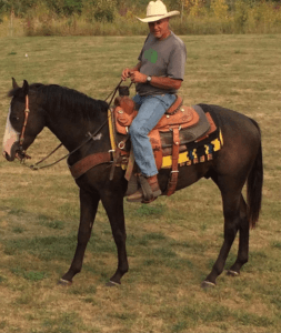 Bruce Riding Horse