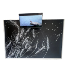 Casey Opstad Art titled Wheat at Altru.