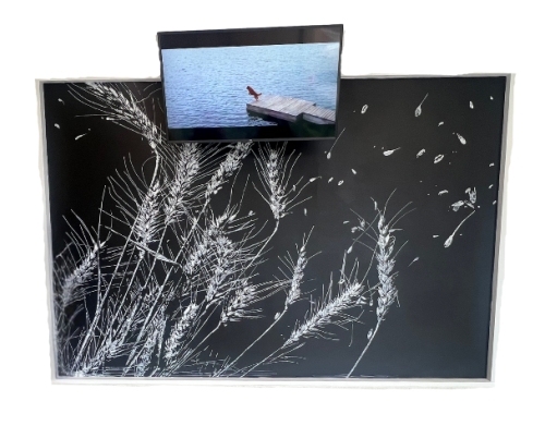 Casey Opstad Art - Wheat