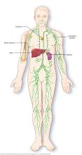 Parts of the immune system