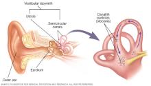 Inner ear and canalith repositioning