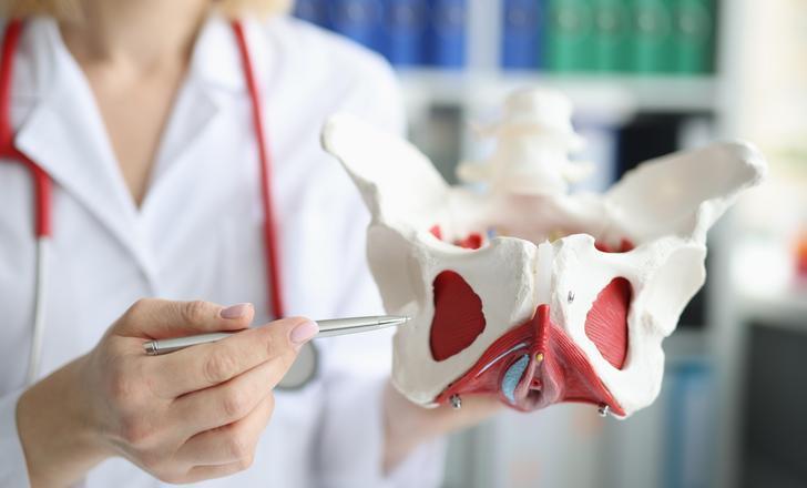 A provider pointing to a pelvis.