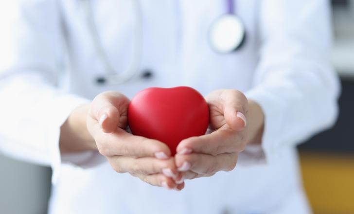 Vascular Surgery