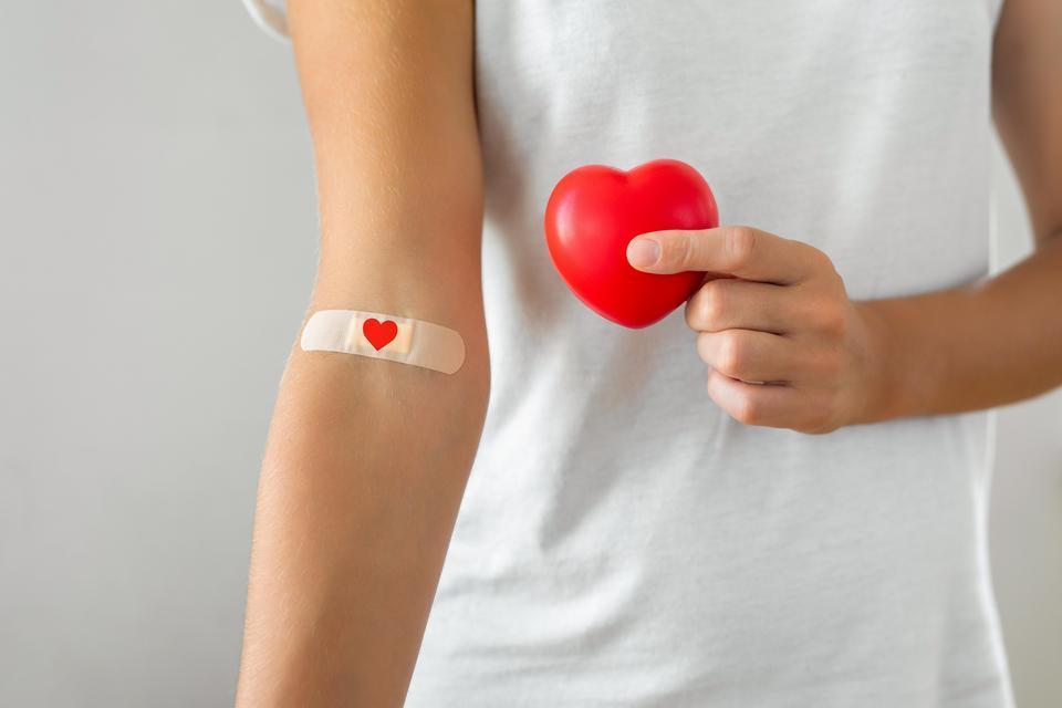 Blood Donor Heart