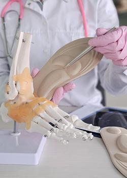 Image of podiatrist with a foot sculpture used for education
