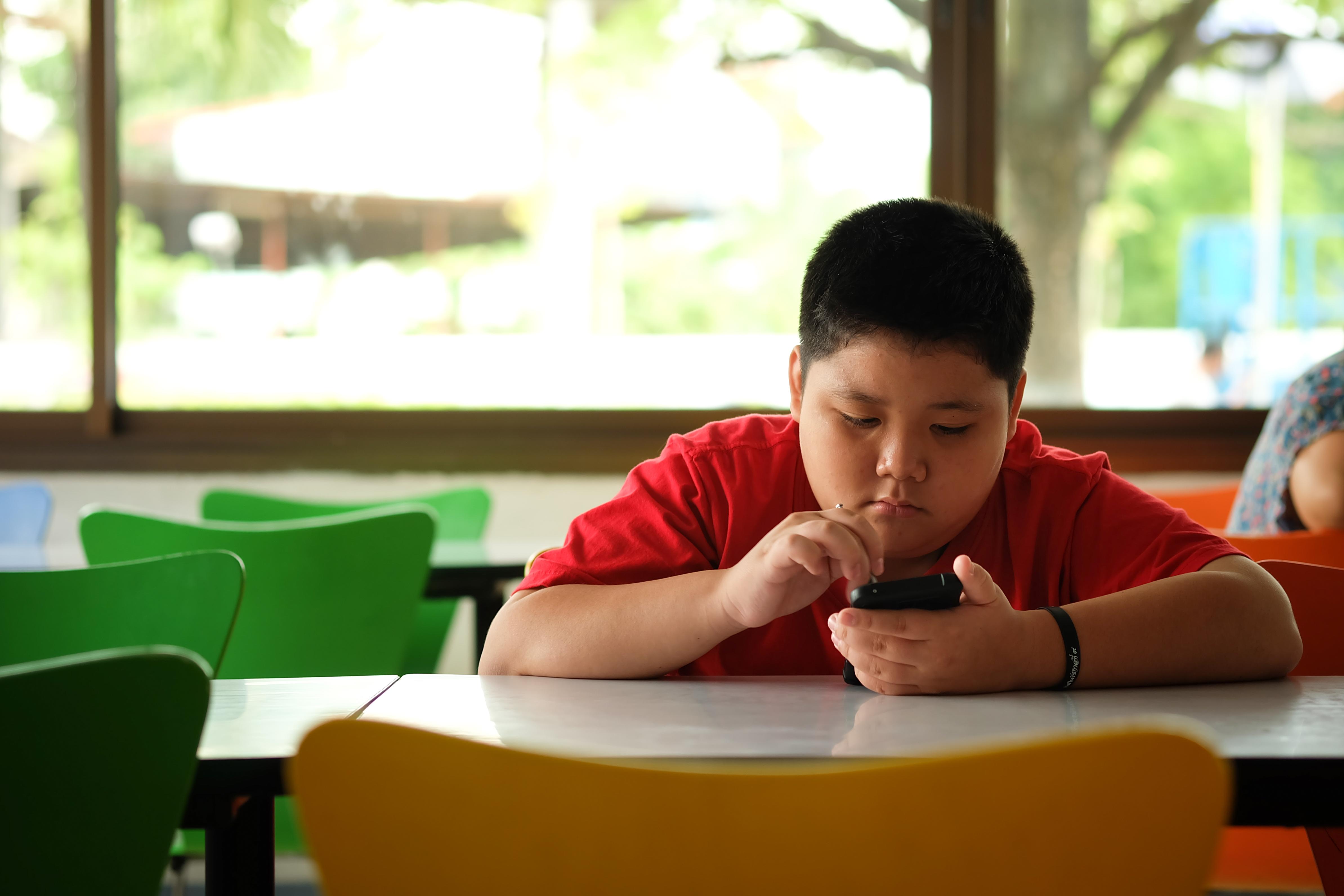 Is Screen Time One of the Main Causes of Childhood Obesity?